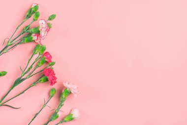 Pembe arka planda farklı pembe karanfil çiçeklerinden oluşan buket. Düz manzaralı. Tatil kartı 8 Mart, Sevgililer Günü, Anneler Günü konsepti..