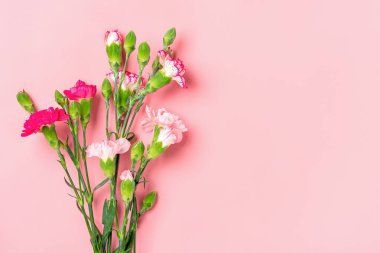 Açık kırmızı arka planda farklı pembe karanfil çiçeklerinden oluşan buket. Düz manzara. Tatil kartı 8 Mart, Sevgililer Günü, Anneler Günü, Kadınlar, Öğretmenler Günü konsepti..