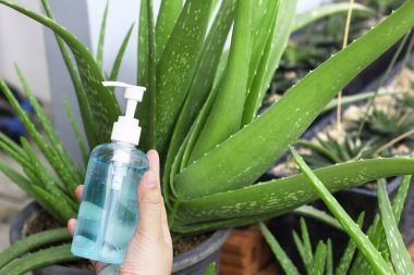 El dezenfektanı alkollü jel. Temiz eller hijyen önleme.