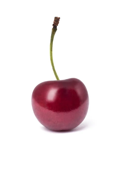 Single cherry isolated on white background — Stock Photo, Image