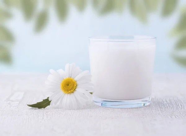 Verre de lait sur une table en bois — Photo