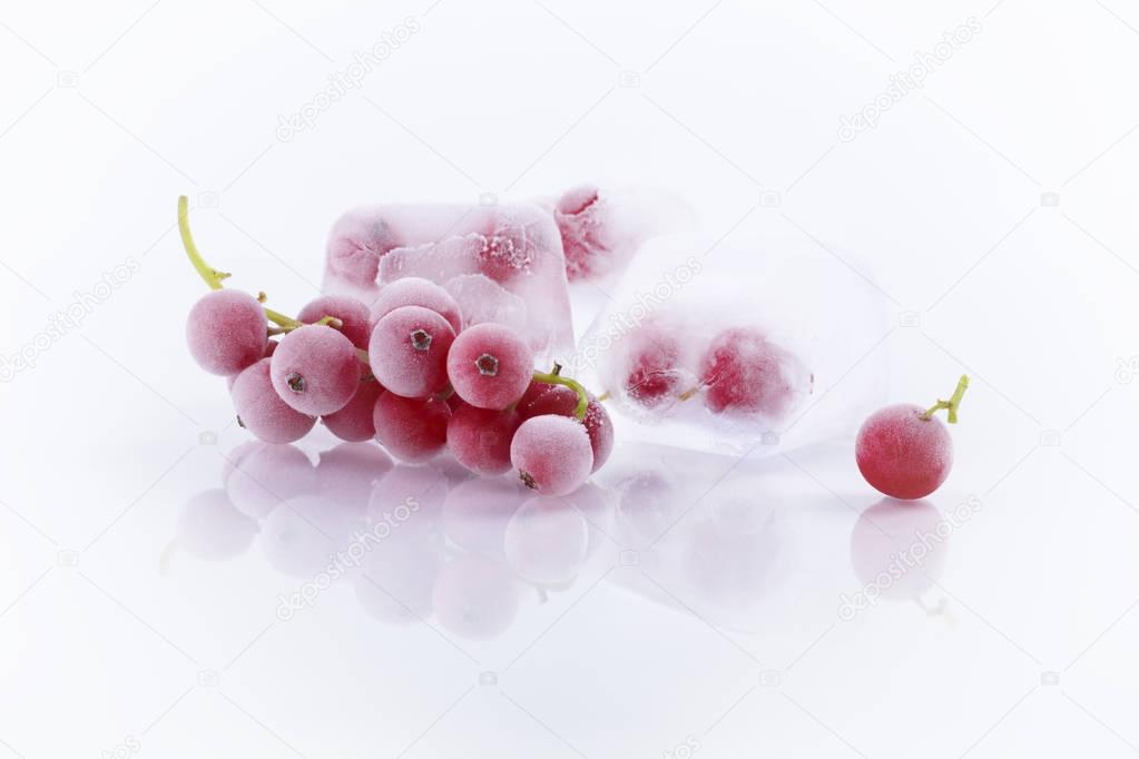 Frozen berries in ice cubes