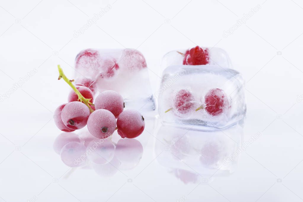 Frozen red currant in ice cubes