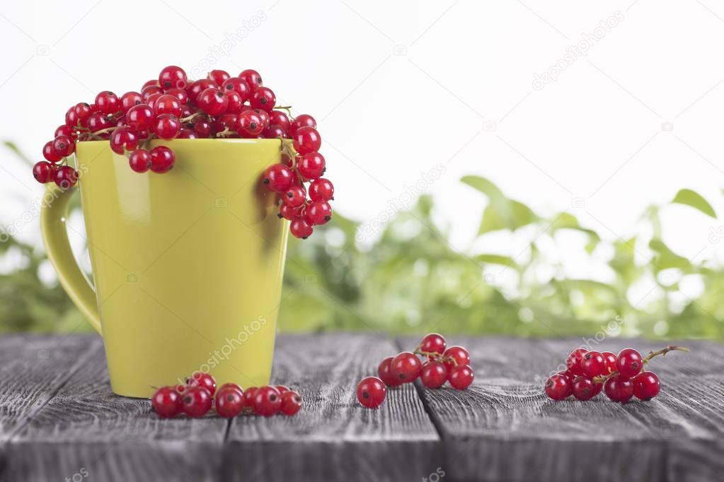 Red currant in a green cup