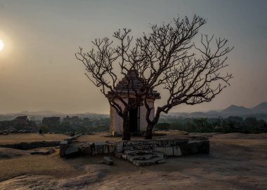 Vijayanagara, Hindistan 'ın kuzeyindeki Karnataka eyaletinin Hampi köyündeki Vijayanagar İmparatorluğu' nun eski başkenti.
