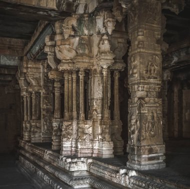 Vijayanagara, Hindistan 'ın kuzeyindeki Karnataka eyaletinin Hampi köyündeki Vijayanagar İmparatorluğu' nun eski başkenti.