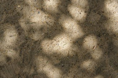 Kumda ışık ve gölge etkisi.