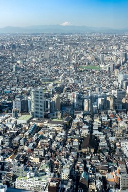 Tokyo ve ufuk çizgileri olan Fuji Dağı. Tokyo Büyükşehir Hükümet Binası 'ndan alınmış. Japonya şehir simgesi.