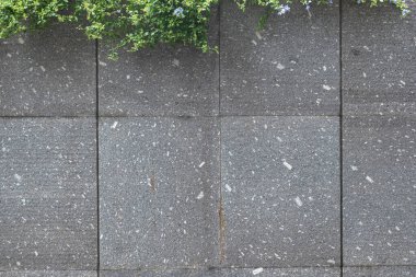 Açık hava granit duvar kaplama dekoratif.