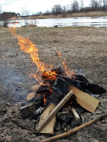 On the shore of a small lake or river, someone collected garbage on the shore and made a fire.