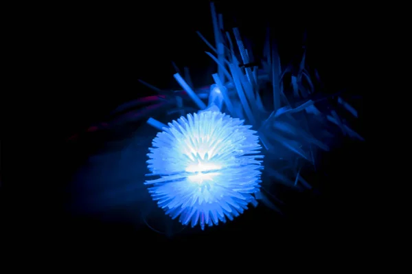 Bola azul brillante sobre el fondo de la rama de abeto artificial. Año Nuevo Navidad místico estilo de vida guirnalda vacaciones — Foto de Stock