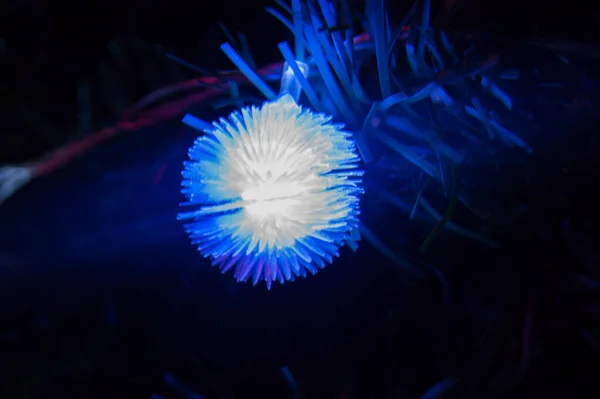 Blue glowing ball against the background of artificial spruce branch. New Year's Christmas mystic mood lifestyle garland holiday — Stock Photo, Image