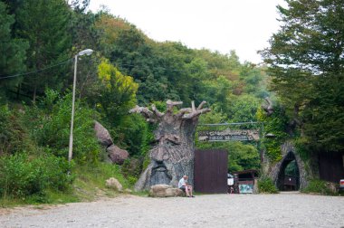 Rusya, Soçi. Eylül 2019. Turist köyü cenneti zevki. Parkın girişinde, heybetli bir kahramanın yüzüne sahip kocaman bir ağaç var..