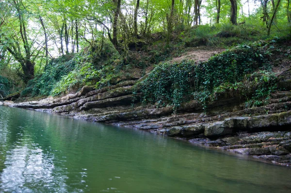 Foto horizontal - uma floresta mágica. Árvores velhas cobertas de musgo nas margens de um rio de montanha . — Fotografia de Stock