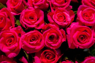The background is red roses. Horizontal photo. Gift, bouquet, happy Valentines Day, Valentines Day