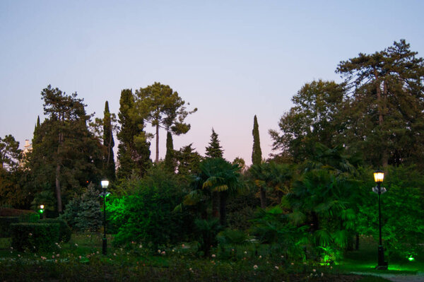 Evening summer park, illuminated by lights - Riviera, Sochi. Summer, tropics, walks, vacation
