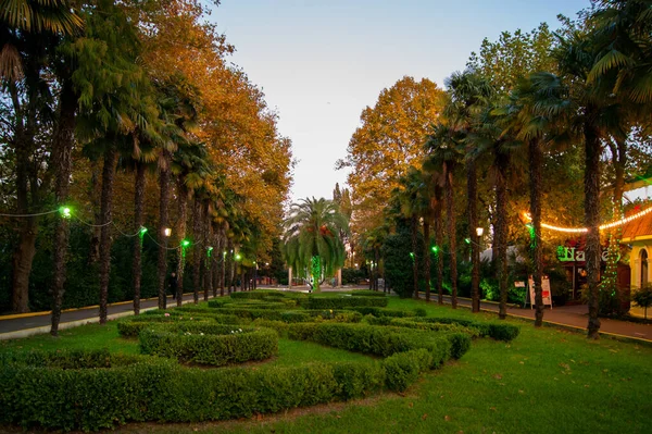 Akşam parkı, ışıklarla aydınlatılmış, Riviera, Sochi. Yaz, tropikerler, yürüyüşler, tatiller