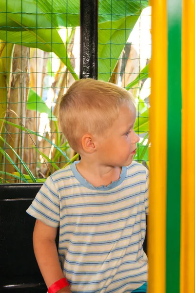 Trzyletni Jasnowłosy Chłopiec Jedzie Żółto Zielonym Pociągiem Dla Dzieci Parku — Zdjęcie stockowe