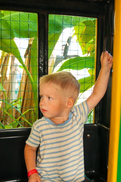 Трехлетний Маленький Светловолосый Мальчик Едет Жёлто Зелёном Детском Поезде Парке — стоковое фото