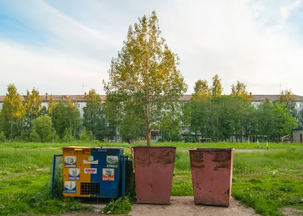 Three Garbage Containers Backdrop City Yard Birch Five Story Building — Stock Photo, Image