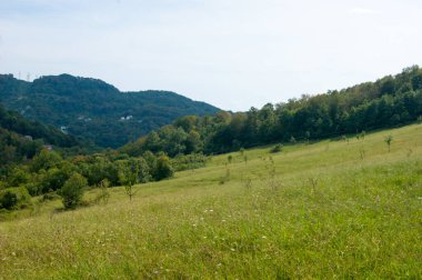Kafkasya 'nın dağlarında öğle vakti - yatay fotoğraf - dağ manzarası. Beyaz bulutlu mavi gökyüzü ve yeşil ağaçlarla kaplı güzel sıradağlar..