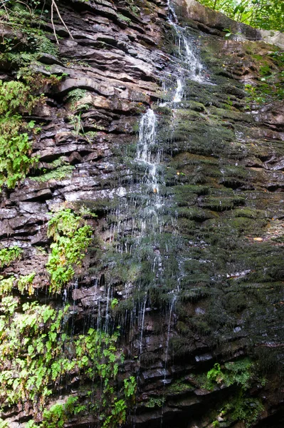 非常にきれいな氷の水と小さな山の滝 渓谷だ 岩石水ツタ コーカサス — ストック写真