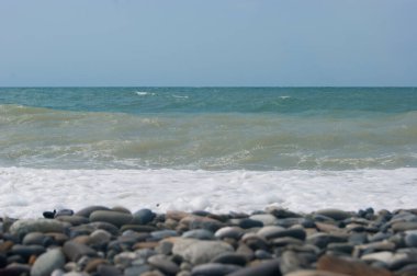 Karadeniz 'in Deniz Dalgası bir çakıl taşı plajıdır. Pürüzsüz ufuk, mavi gökyüzü. Tatil tatili yaz tatili, mutluluk tesellisi.