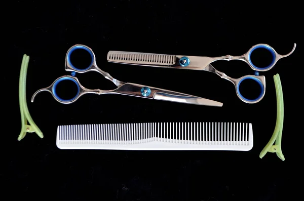 Nůžky a kartáče na vlasy na černém pozadí — Stock fotografie