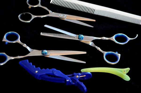 Nůžky a kartáče na vlasy na černém pozadí — Stock fotografie