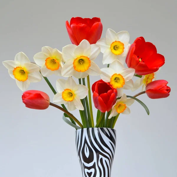 Daffodils and red tulips are a bouquet — Stock Photo, Image