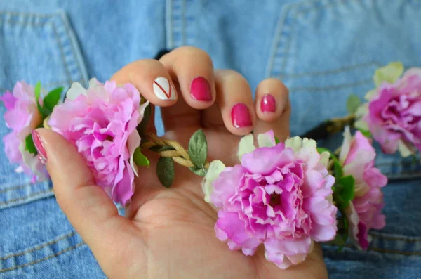 Manicure short red nails and white on the index finger — Stock Photo, Image