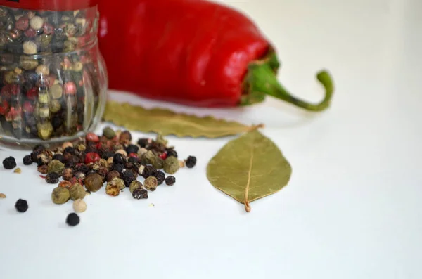 Směs pepře, černá, bílá, červená, bobkový list a chilli — Stock fotografie
