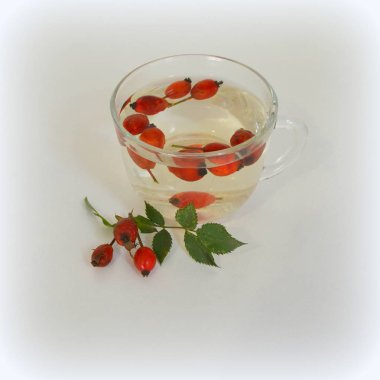 Köpek rose bir fincan kuşburnu ile kaynatma