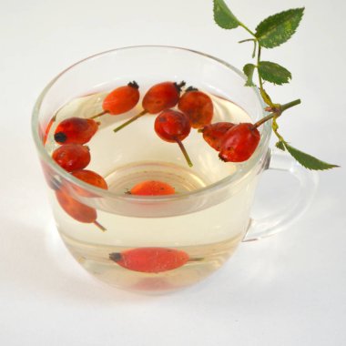 Köpek rose bir fincan kuşburnu ile kaynatma