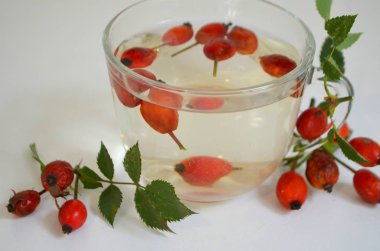 Köpek rose bir fincan kuşburnu ile kaynatma