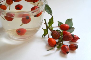 Köpek rose bir fincan kuşburnu ile kaynatma