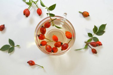 Köpek rose bir fincan kuşburnu ile kaynatma