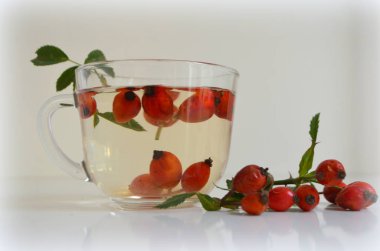 Köpek rose bir fincan kuşburnu ile kaynatma