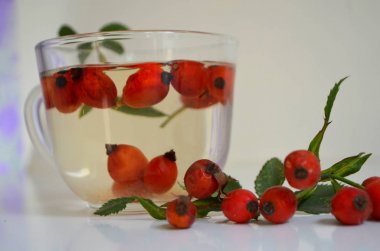 Köpek rose bir fincan kuşburnu ile kaynatma