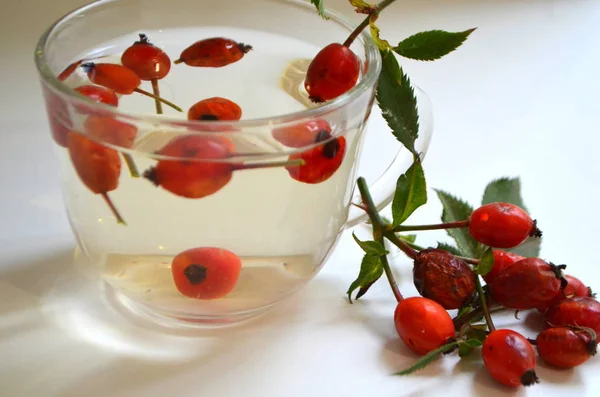 Köpek rose bir fincan kuşburnu ile kaynatma