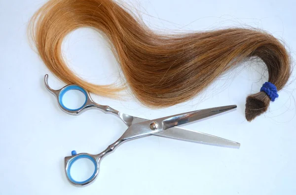 Haarsträhne Mit Schere Und Kamm Für Haarschnitt Auf Weißem Hintergrund — Stockfoto