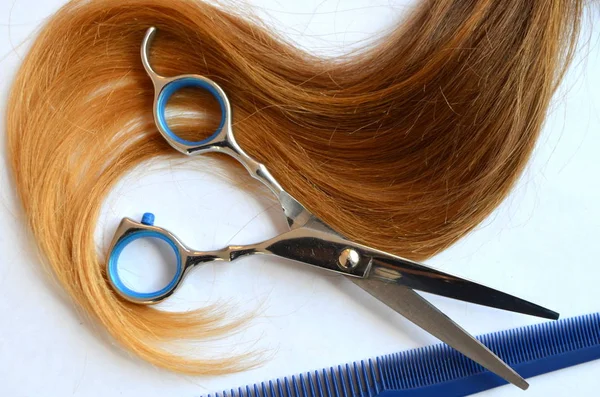 Haarsträhne Mit Schere Und Kamm Für Haarschnitt Auf Weißem Hintergrund — Stockfoto
