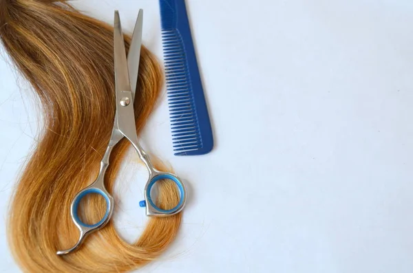 Haarsträhne Mit Schere Und Kamm Für Haarschnitt Auf Weißem Hintergrund — Stockfoto