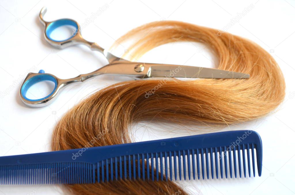 Strand of hair with scissors and comb for haircut on white background