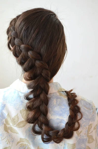 Openwork French Braid Hairstyle Long Length Hair — Stock Photo, Image