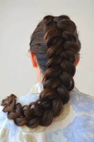 Openwork French Braid Hairstyle Long Length Hair — Stock Photo, Image