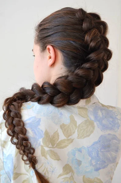 프랑스 머리의 길이와 헤어스타일 — 스톡 사진