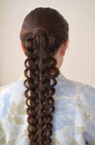 Treccia Francese Traforata Acconciatura Con Lunga Lunghezza Capelli — Foto Stock