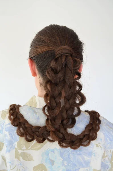 镂空法国辫子 发型与长的头发 — 图库照片