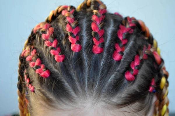 一个女孩与一套时髦的多彩的辫子 Kanekalon 彩色人工股的头发 编结辫子材料 — 图库照片